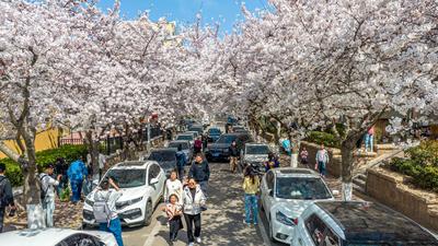 把“良方”开到心坎上！市南区打造健康小区，让健康服务惠及千家万户