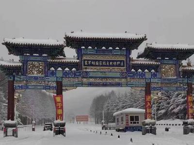 快五月了还雪花飘飘？河北承德出现降雪天气