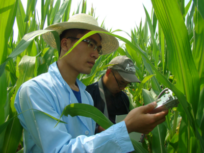 惠农新质生产力！青岛这位教授利用卫星遥感技术助推智慧农业发展