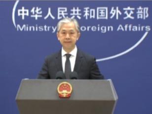 中方坚定支持巴方以最大决心、最大力度严肃查明真相