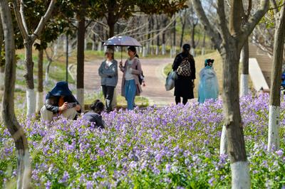 大学校园向公众开放咋就这么难？