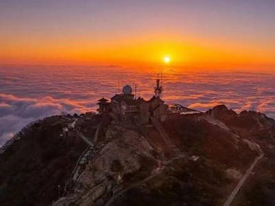 灼言 | 好客山东的“长红密码”