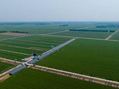 闪电评论丨万象“耕”新，山东农业高质量发展成色足
