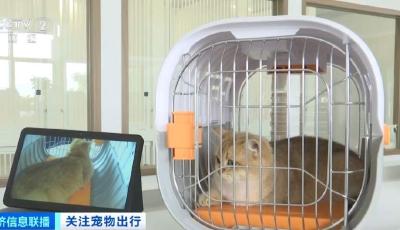 貓狗分區(qū)獨立候機(jī)！全國首家寵物候機(jī)廳在深圳機(jī)場啟用