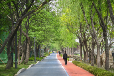 湖岛街道探索在职党员参与社区治理 “8小时之外”树形象做表率