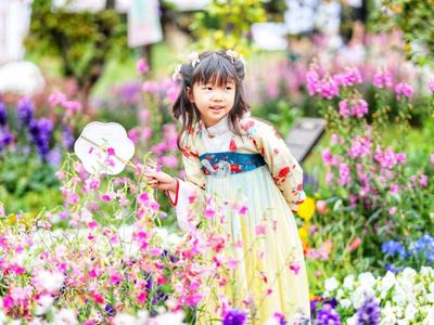 花开半夏，群芳竞秀！青岛农业大学群芳圃花园节开幕