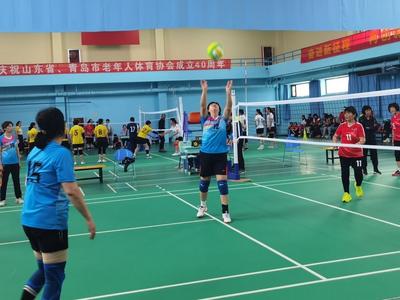 排球“老将”风采依旧，市中老年人气排球交流活动举行