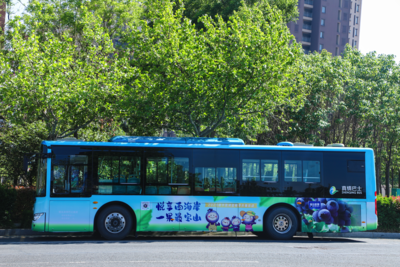 西海岸新区：定制专线开进来，乡村文旅活起来