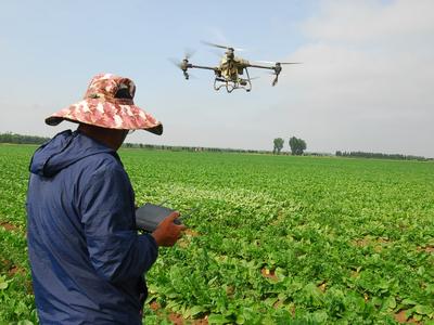 “小满”时节农事忙