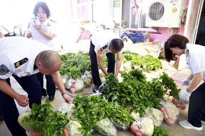 畅通农产品进城路！青岛公交开启“蔬菜团购”新模式