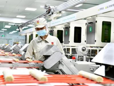 行走先行区｜融合创新，齐鲁乡村描绘新画卷