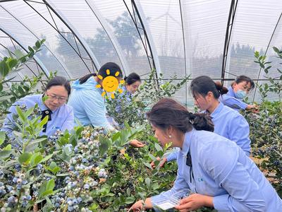 共享“莓”好时光，西海岸这群司机连续四年护航春蕾女童成长