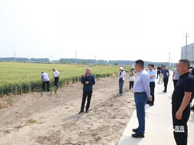 座谈会开在田间地头，即墨区农业农村局举办“政府开放日”暨新闻发布会活动