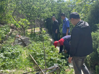 整治小区“毁绿种菜” 共建绿色宜居家园