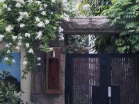 5月限定浪漫，来市南老城区看蔷薇花墙