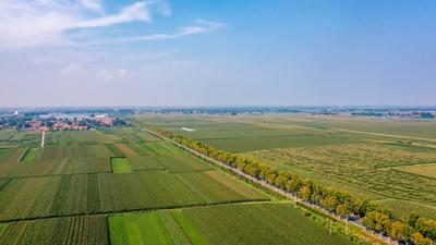 严守耕地保护“红线” 筑牢粮食安全“底线”！平度市强化“田长制”制度建设，牢牢守住耕地保护红线