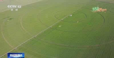 农机“吸粉” 小麦“跨界” 齐鲁粮仓单产、总产有望创历史新高