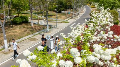 五一郊游，警惕蜱虫叮咬！专家提醒→
