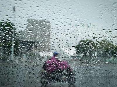 这些地方未来一周每天一场雨，局地还有暴雨大暴雨