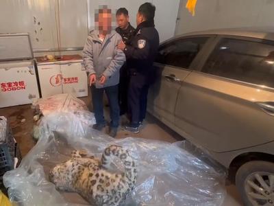 猎杀雪豹还得了！青海警方抓获3人