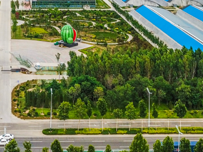 “镇”兴路上的潍坊：以镇域之力，夯实潍坊发展根基