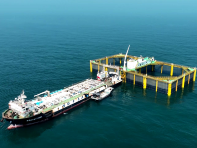 山东日照：一尾鱼“游”出一条链