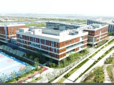 新大学密集官宣，该怎么选？