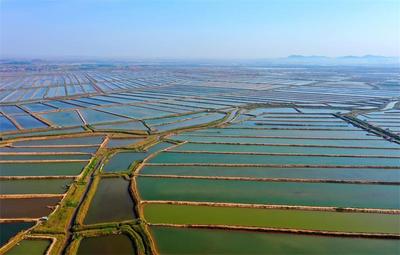 “海上田园”景如画