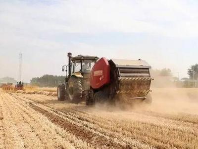 闪电评论丨以“颗粒归仓”建设更高水平的“齐鲁粮仓”