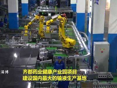 闪电评论丨以“项目为王”积蓄“走在前”的磅礴力量