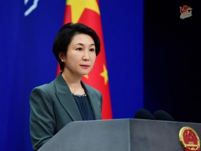 中方是否正说服欧洲部分国家停止对中企的调查？外交部回应