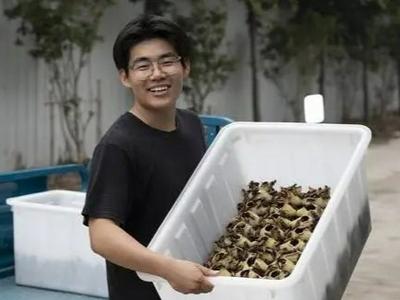 年产值800万！“00后”小伙靠养蟋蟀走上致富路