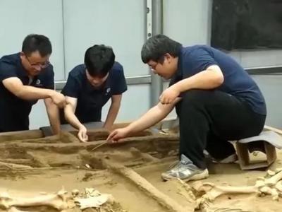 这个专业火了！部分省份入学即就业，还带编制！
