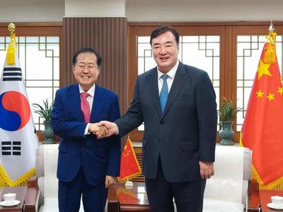 热搜第一！韩国市长请求中国赠送大熊猫