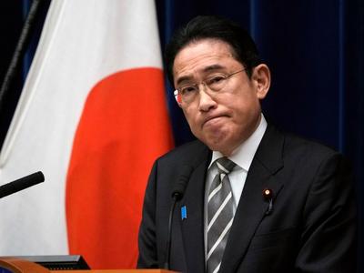 民调显示岸田内阁支持率跌入“下台水域”