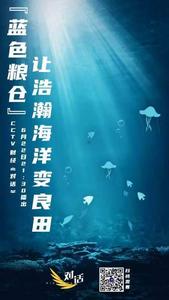 央视财经：「蓝色粮仓」让浩瀚海洋变良田