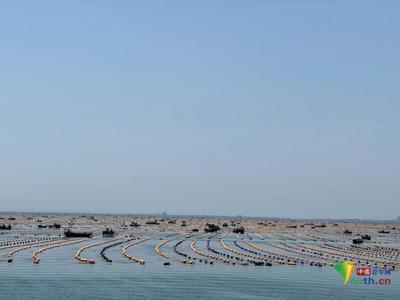 【传统村落万里行】荣成俚岛镇：走出“传统村落+”的发展新路子