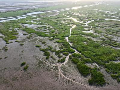 中华环保世纪行2024|记者手记：大河之洲的生态跃变