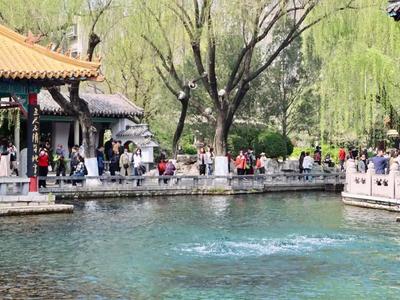 园方证实：比停喷线仍高出48厘米，趵突泉暂无停喷危险