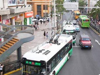 @大型客车，青岛市区怎么走、哪里有停车泊位？这份通行指南请查收