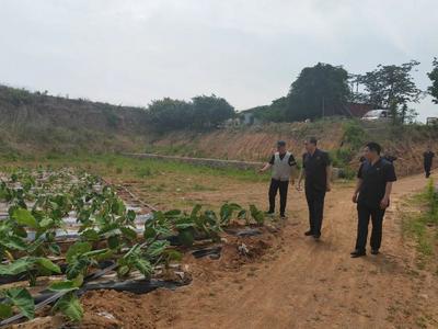 多部门合力促进修复受损生态环境，青岛“耕地司法保护修复示范基地”设立