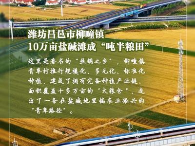 “镇”兴路上丨10万亩盐碱滩成“吨半粮田”