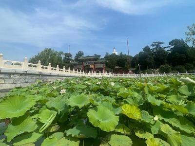 除故宫国博等，北京旅游景区全面取消预约