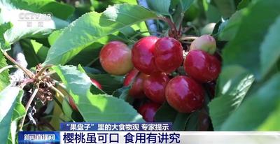 樱桃食用有讲究，专家建议：每日摄入不超250克