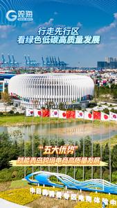 行走先行区，看绿色低碳高质量发展丨“五大优势”赋能青岛跨境电商高质量发展