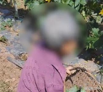 ​重庆老太偷菜摔伤却要菜主赔偿8万？法院：驳回诉求！