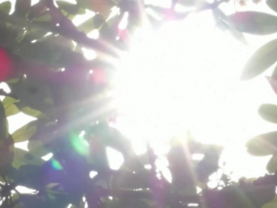 多地最高气温达39℃！山东省气象台继续发布高温橙色预警