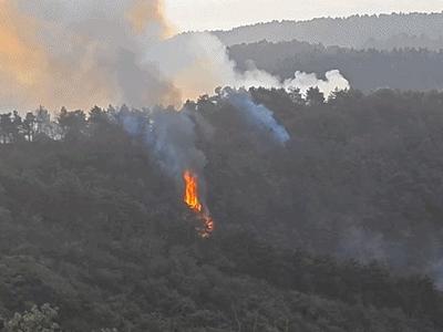 山西安泽山火初判为雷击火引起！直升机参与扑救