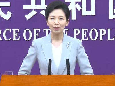 商务部新任新闻发言人何咏前亮相