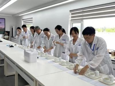 青岛市首个茶产业著名茶学专家创新工作室揭牌